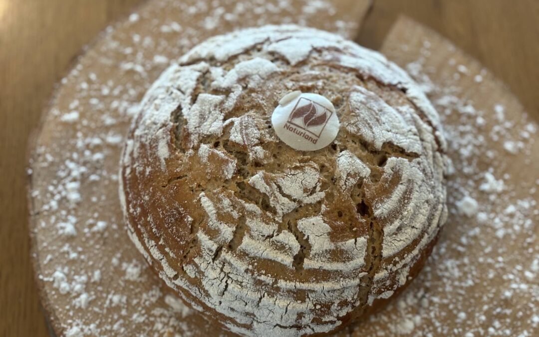 Bio-Gott-sei-Dank-Brot